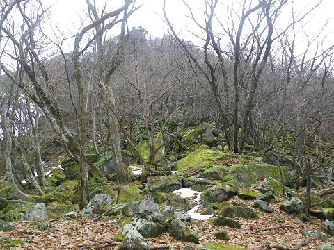 c0002874_1134151.jpg