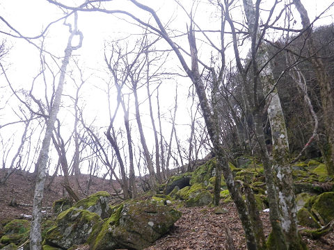 c0002874_1140121.jpg