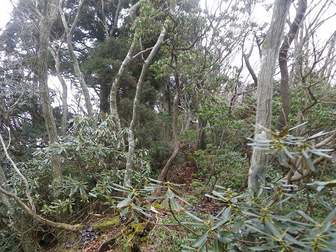 c0002874_1150316.jpg