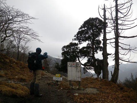 c0002874_11585253.jpg