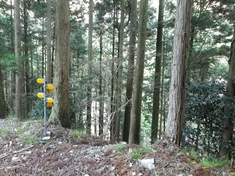 c0002874_1194967.jpg