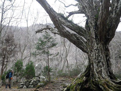c0002874_123113.jpg