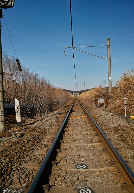 d0225575_8395663.jpg