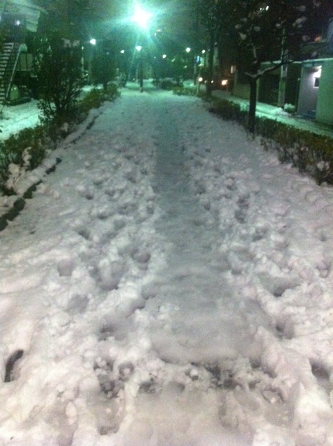 b0134285_21271345.jpg