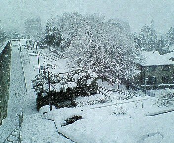 c0014187_1564514.jpg