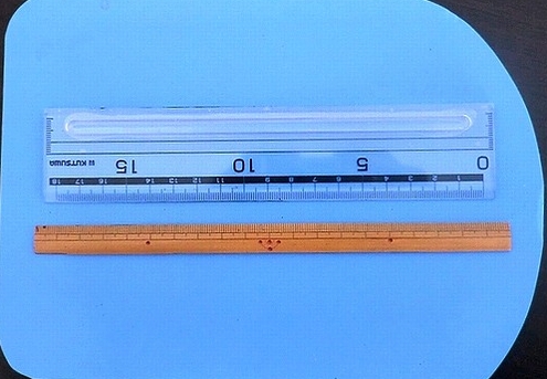 e0143690_16302545.jpg