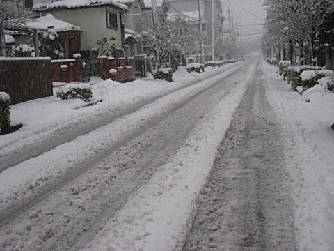 d0046702_9524224.jpg