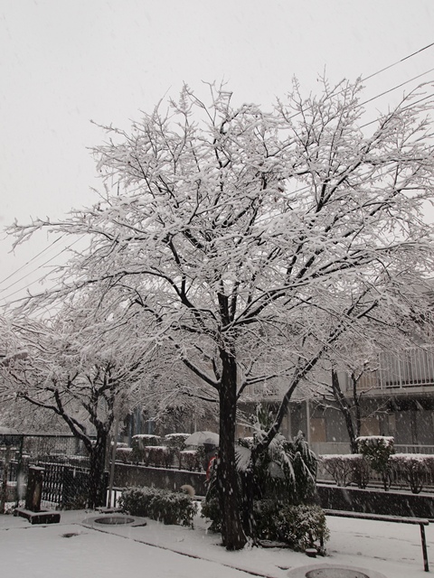 b0207615_21574952.jpg