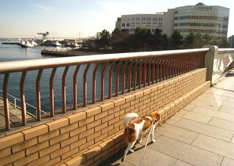 c0084117_17342049.jpg