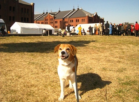 c0084117_17384591.jpg