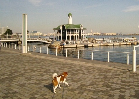 c0084117_17432463.jpg