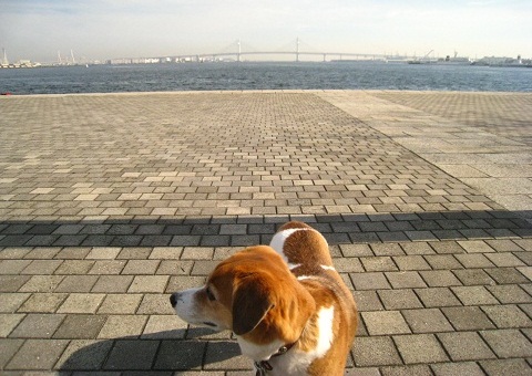 c0084117_17473639.jpg