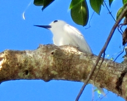 a0043520_20455227.jpg