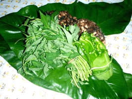 a0043520_2046886.jpg