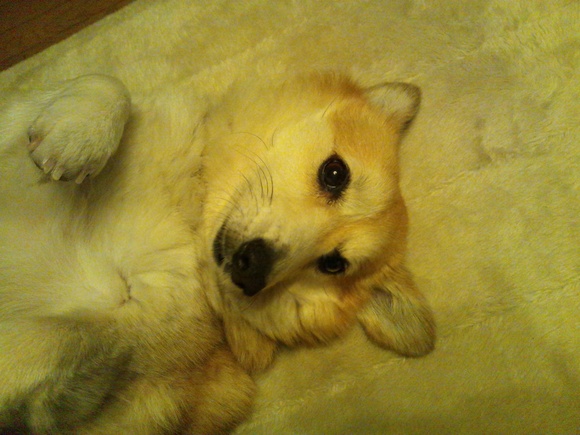 c0150520_23233093.jpg