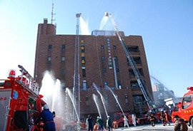 c0236527_8175352.jpg