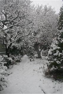 c0199728_1371389.jpg