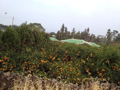 a0120337_1443926.jpg