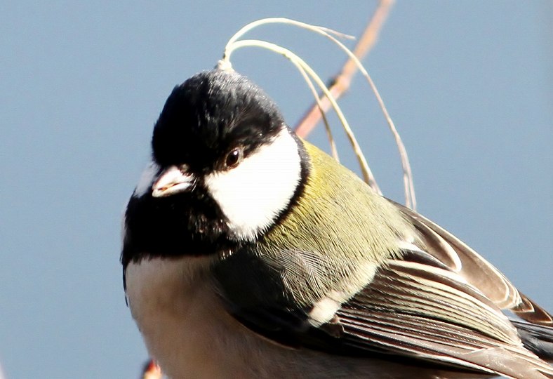c0172139_2218321.jpg