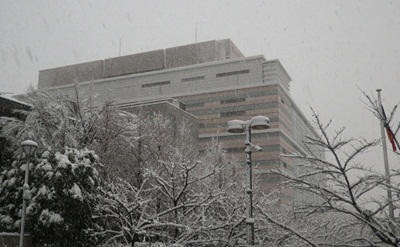 c0180341_5583866.jpg