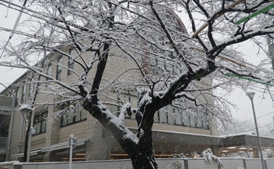 c0180341_60567.jpg