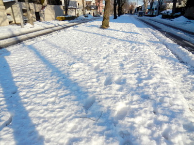 a0142343_122030.jpg