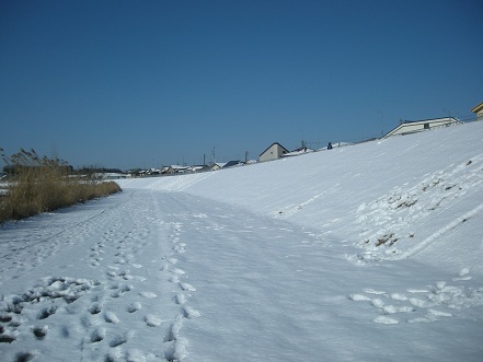f0107145_2142891.jpg