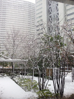e0119851_0351423.jpg