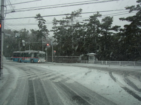 c0224154_1437669.jpg