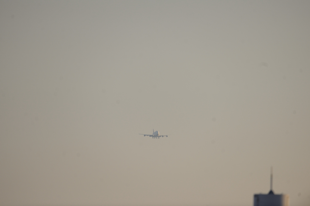e0216857_2045475.jpg