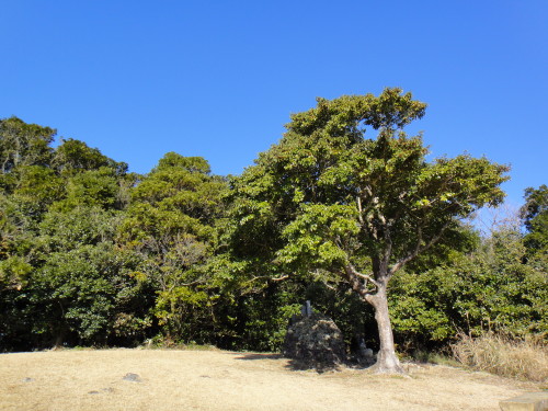c0256558_17175378.jpg