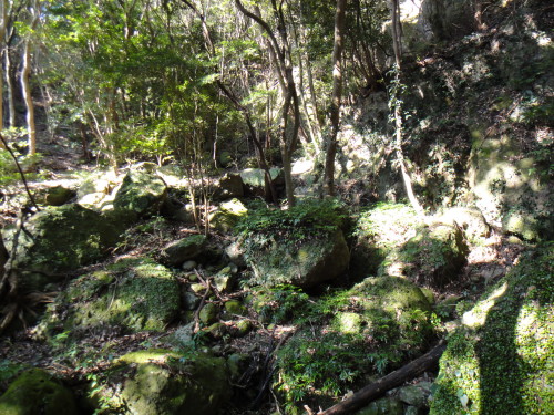 c0256558_1722210.jpg