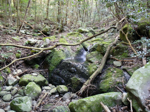 c0256558_17224765.jpg