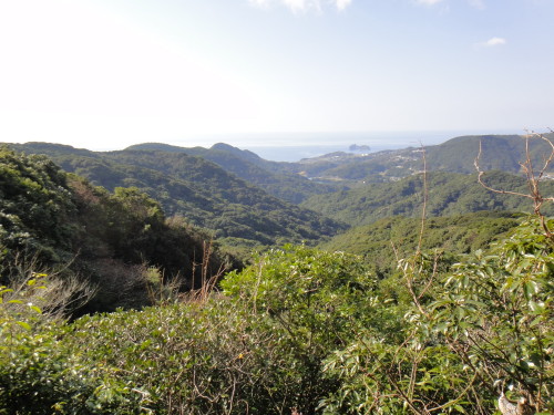 c0256558_17233082.jpg