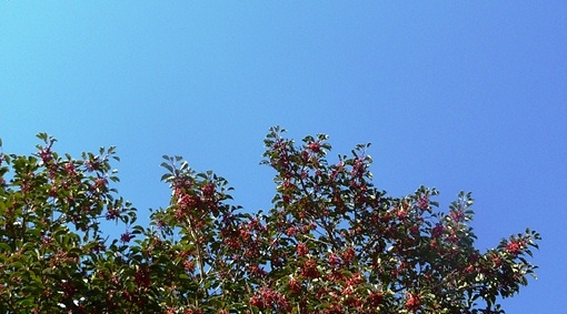 d0168567_11231780.jpg