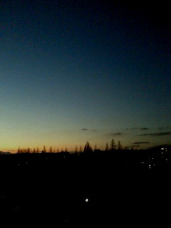 d0161575_1334755.jpg