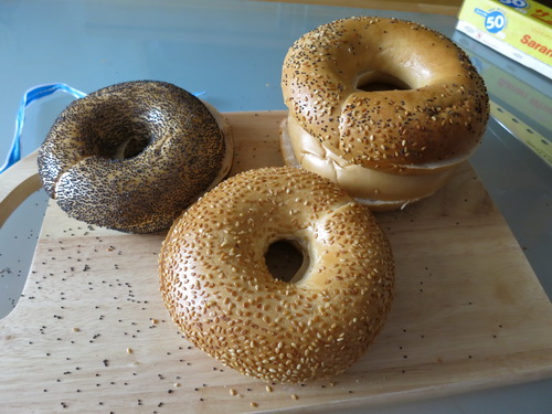 a0002177_1832035.jpg