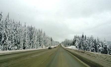 a0047577_1022338.jpg