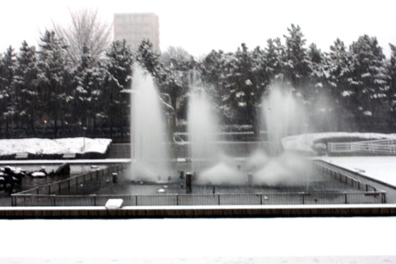 e0112077_1283432.jpg