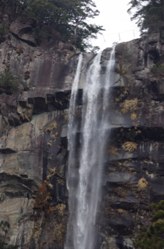 f0054677_961565.jpg