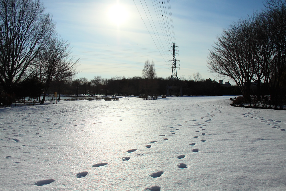 e0249878_22512675.jpg