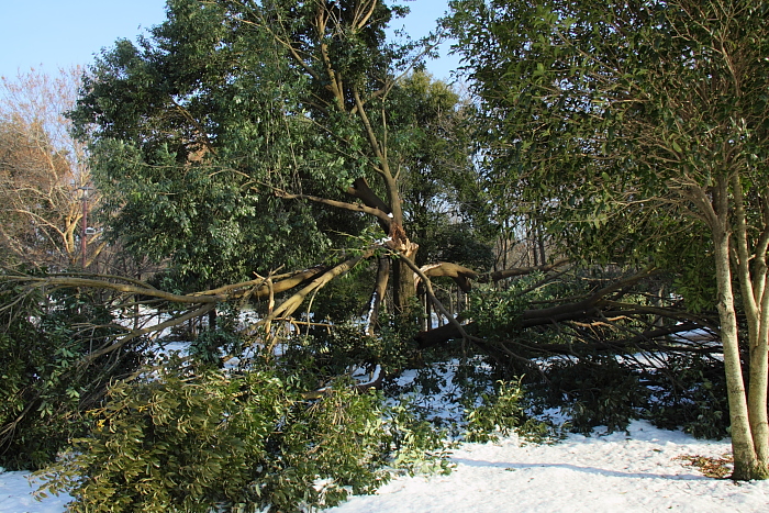 e0249878_23384632.jpg