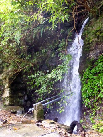 d0240983_20152558.jpg