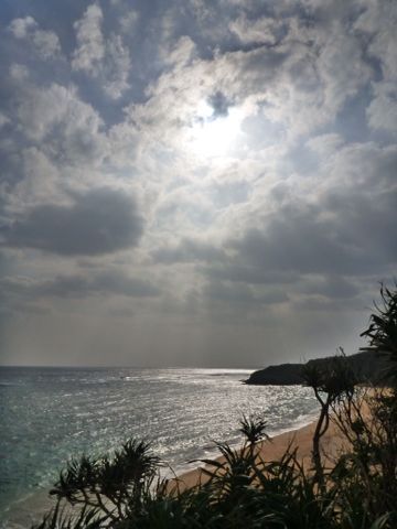 d0240983_20165660.jpg