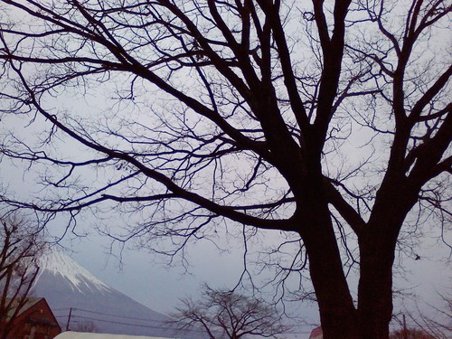 a0196286_7233776.jpg