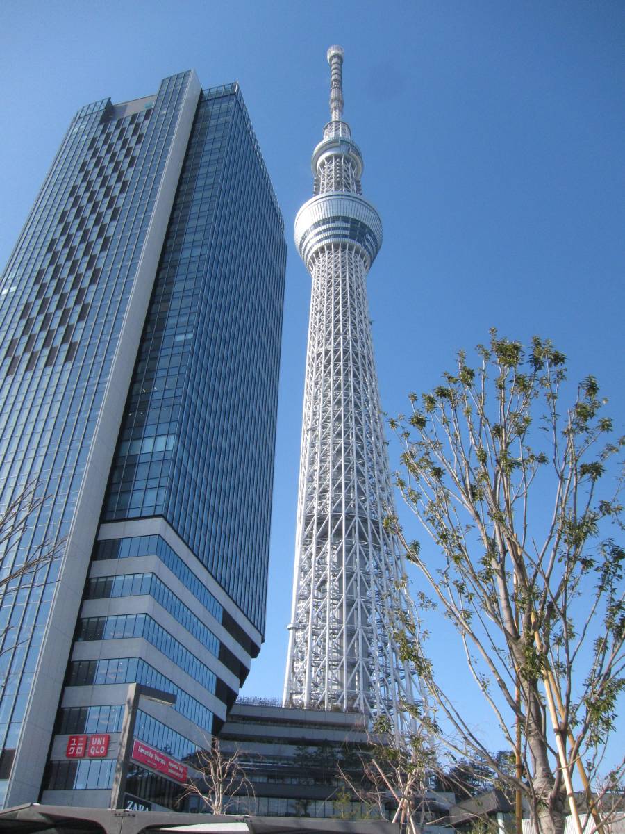 b0062687_21191225.jpg