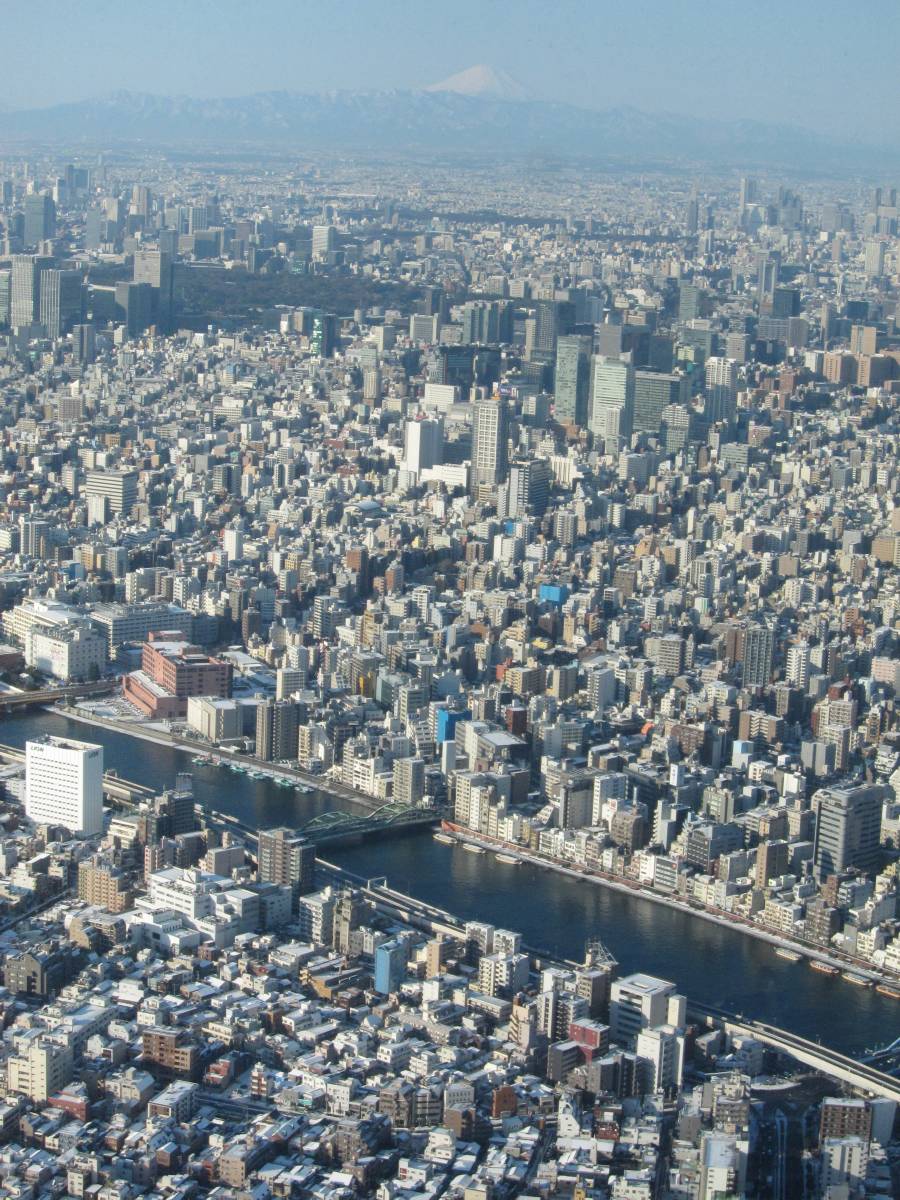 b0062687_21362054.jpg
