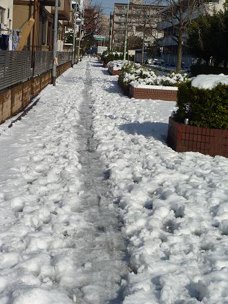 c0123890_2045944.jpg