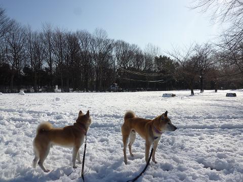 c0123890_2065014.jpg