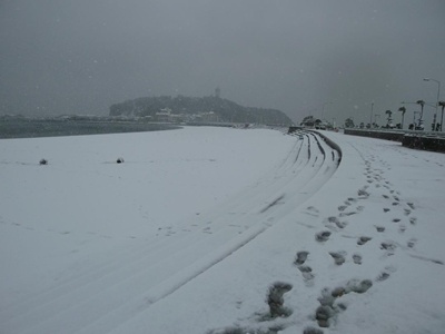 c0219090_2021462.jpg